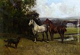 The Colonels Horses and Collie